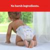 imageHuggies Size 7 Diapers Snug ampamp Dry Baby Diapers Size 7 41 lbs 108 Count 2 Packs of 54 Packaging May VarySize 1